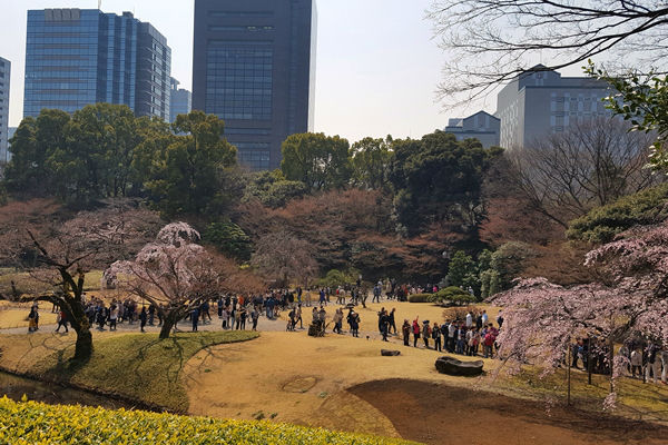 小高い丘からの景色