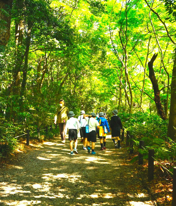 路傍植物園